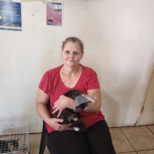 Tiger – Anna Marie | sterilisation day