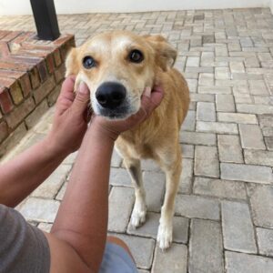 Muscha – Annalien | sterilisation day