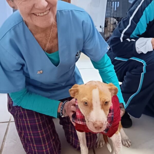 Chloe – Jacob  Mathomane | sterilisation day