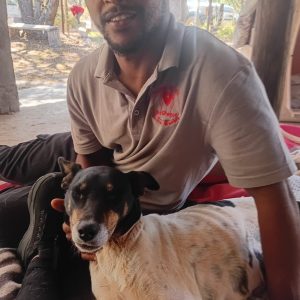 Jackie – Tertius Buirman | sterilisation day