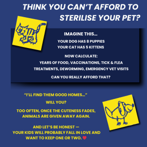 Sterilization Poster