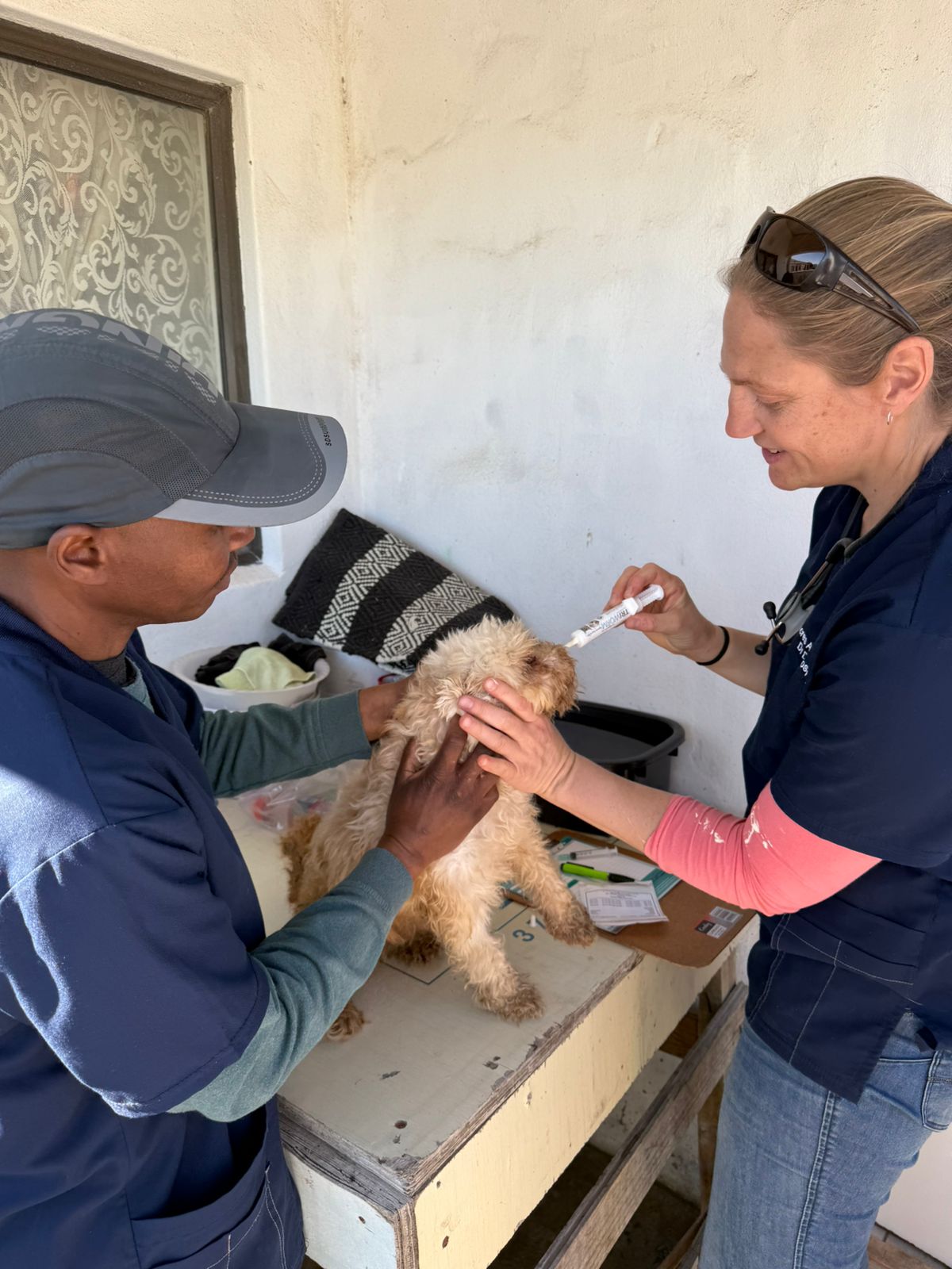Saldanha Bay Municipality CVC Principal Vet