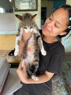 MIA
